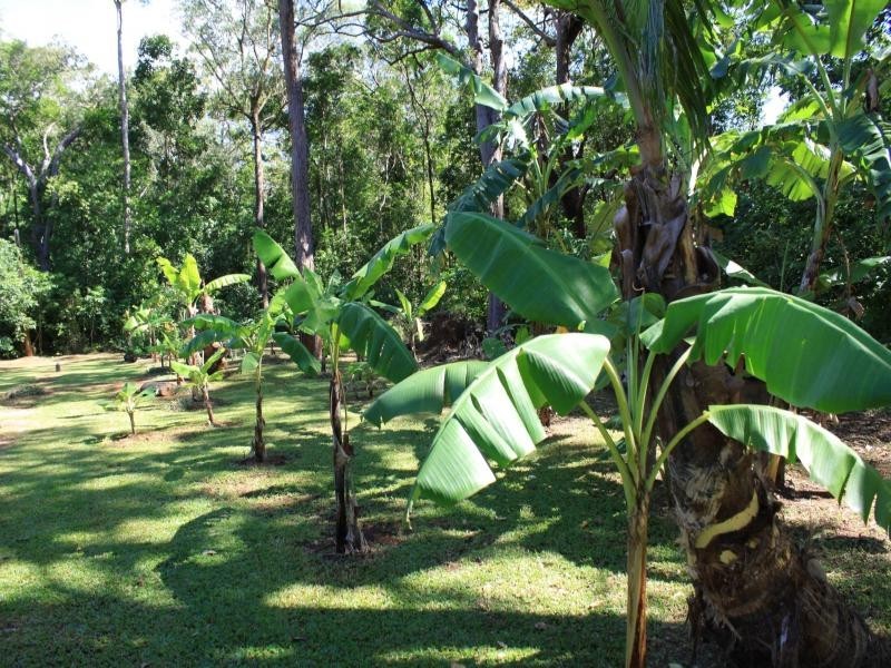 177 Cedar Road, Daintree QLD 4873