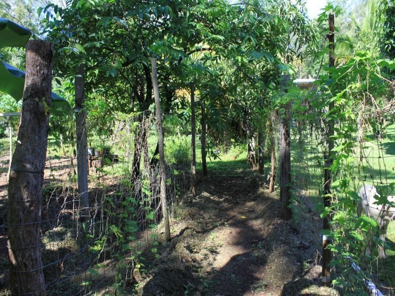 177 Cedar Road, Daintree QLD 4873