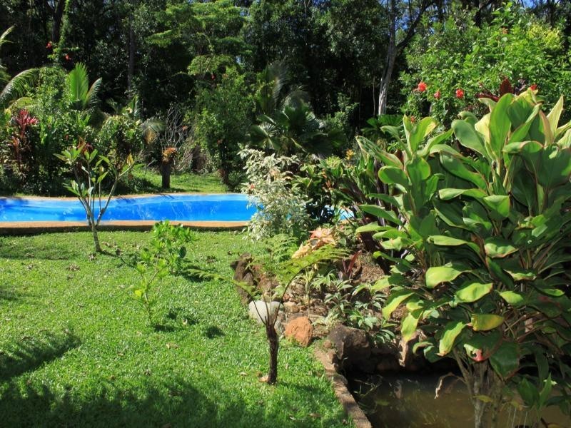 177 Cedar Road, Daintree QLD 4873