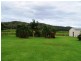 Miallo QLD 4873