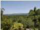 27 Forest Creek Road, Daintree QLD 4873