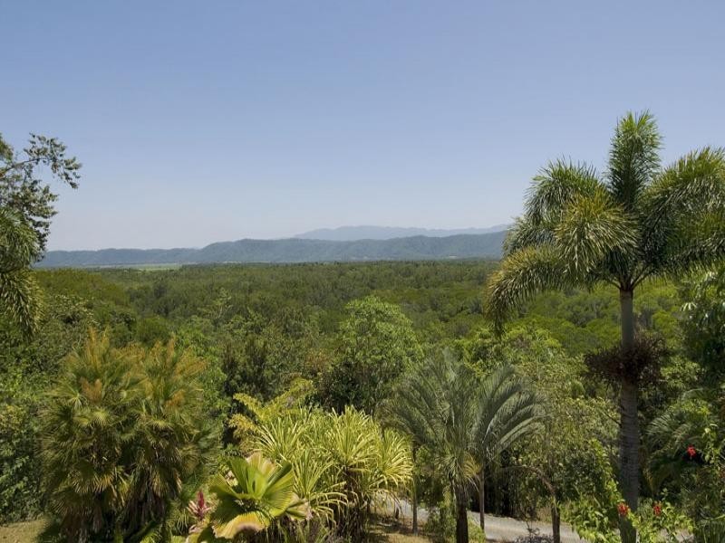 27 Forest Creek Road, Daintree QLD 4873