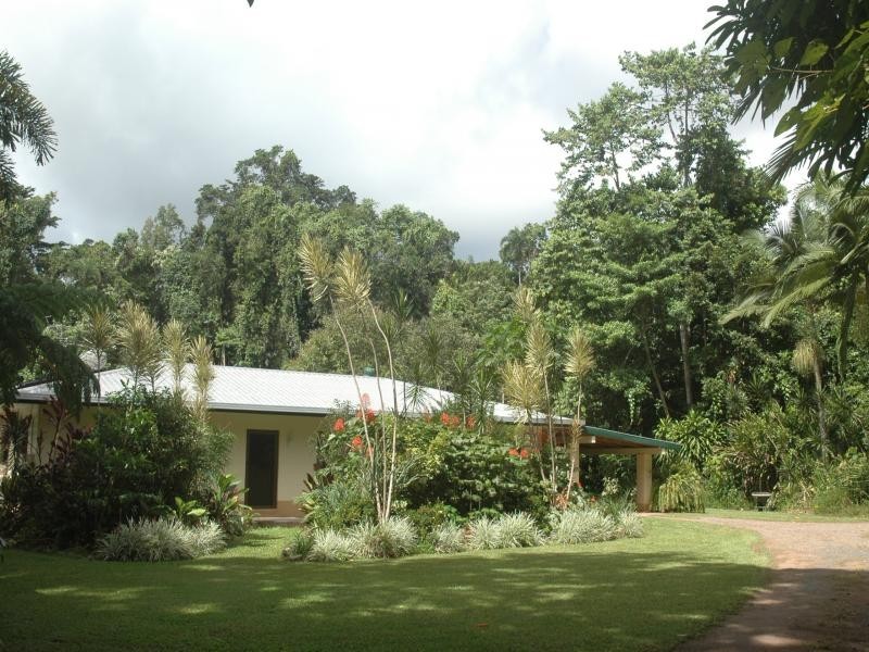 454 Cape Tribulation Road, Daintree QLD 4873