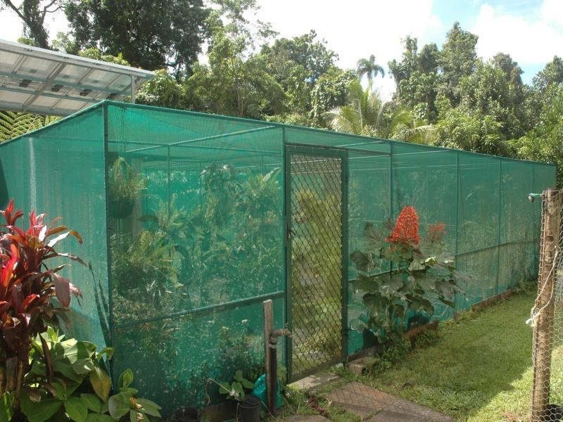 454 Cape Tribulation Road, Daintree QLD 4873