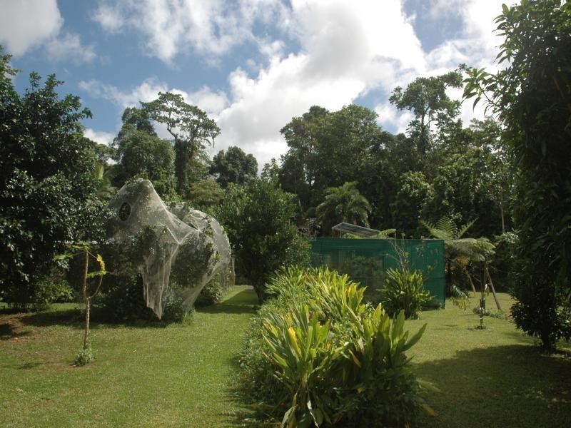 454 Cape Tribulation Road, Daintree QLD 4873