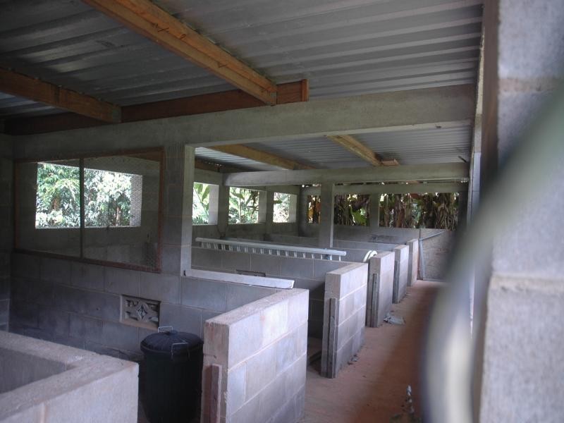 454 Cape Tribulation Road, Daintree QLD 4873