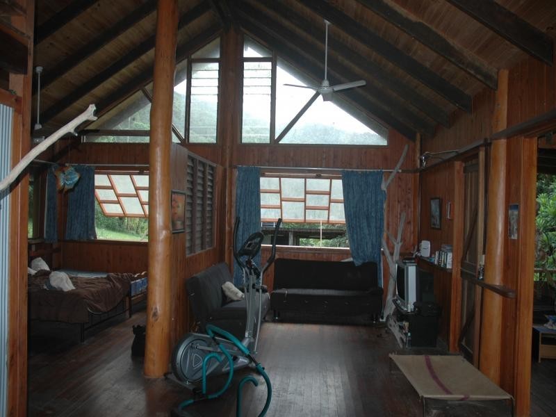 50 Tea Tree Road, Daintree QLD 4873