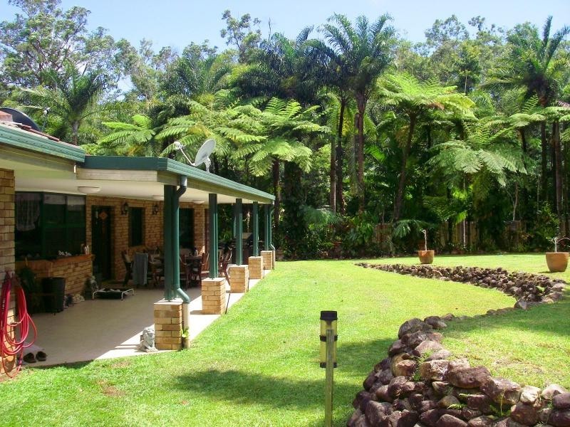 98 Rosewood Road, Daintree QLD 4873