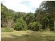 98 Rosewood Road, Daintree QLD 4873