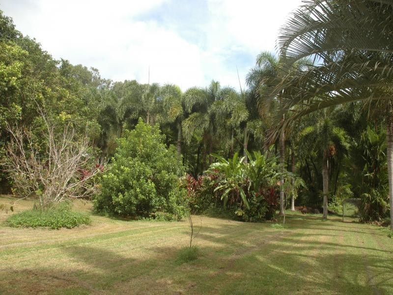 98 Rosewood Road, Daintree QLD 4873