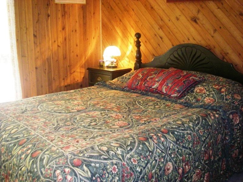 98 Rosewood Road, Daintree QLD 4873