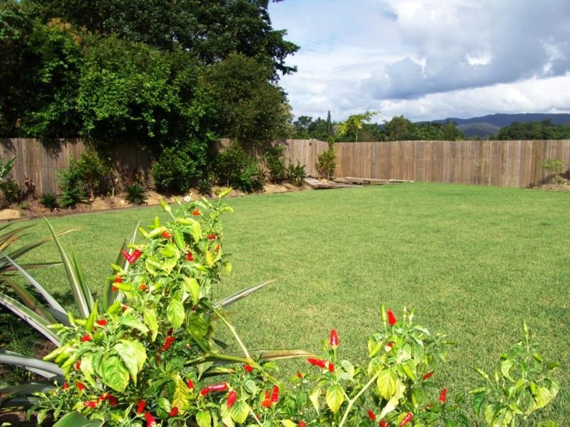 38 Riflebird Close, Mossman QLD 4873