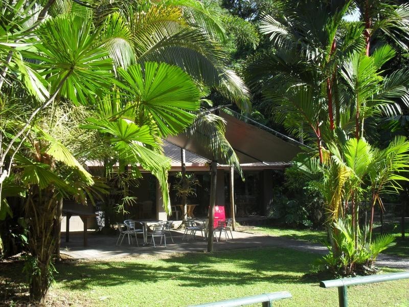 335 Cape Tribulation Road, Daintree QLD 4873