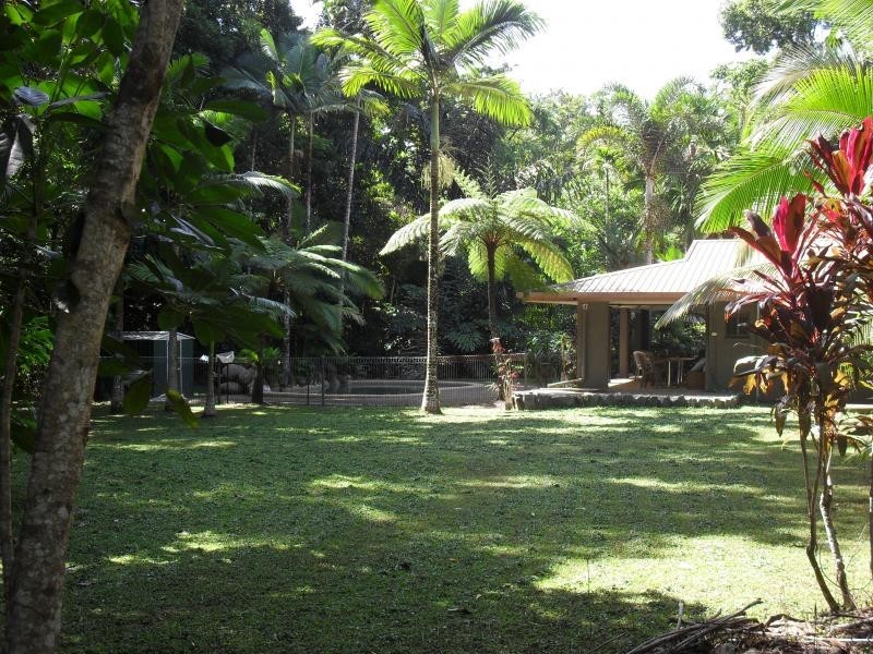 335 Cape Tribulation Road, Daintree QLD 4873