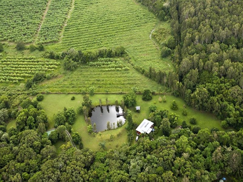 Daintree QLD 4873