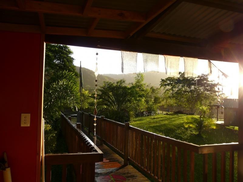 Daintree QLD 4873