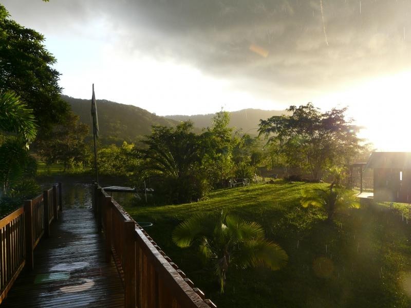 Daintree QLD 4873