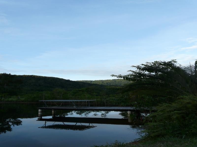 Daintree QLD 4873