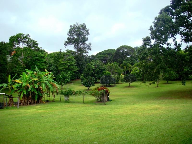 65 Salisbury Drive, Julatten QLD 4871