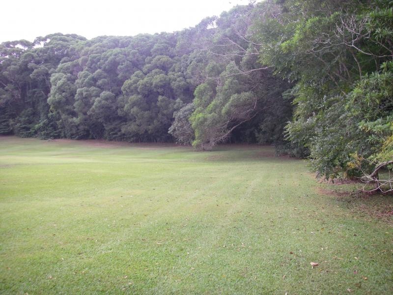 65 Salisbury Drive, Julatten QLD 4871