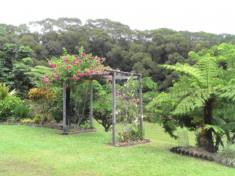 65 Salisbury Drive, Julatten QLD 4871