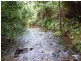 329 Cape Tribulation Road, Daintree QLD 4873