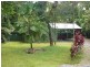329 Cape Tribulation Road, Daintree QLD 4873