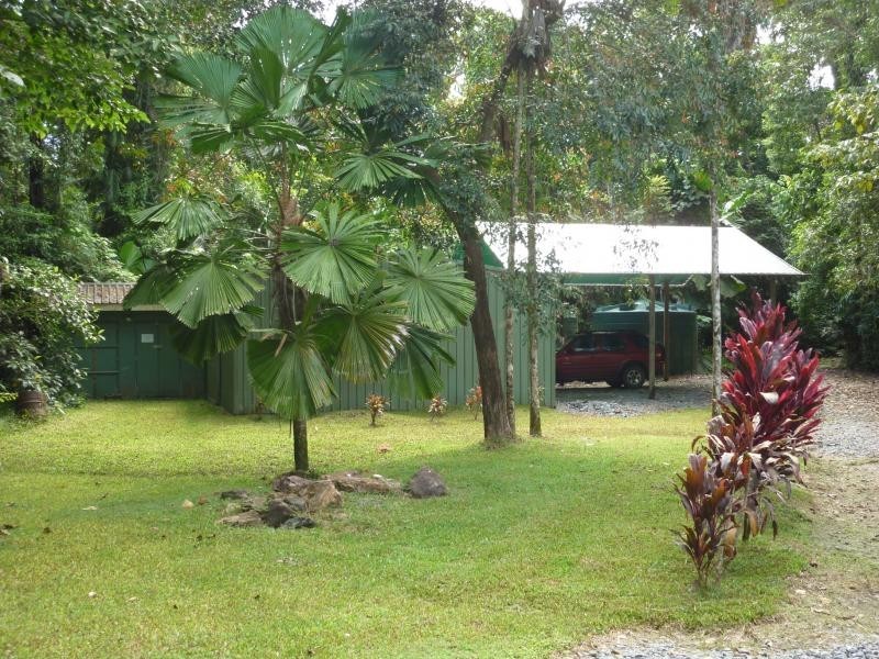 329 Cape Tribulation Road, Daintree QLD 4873