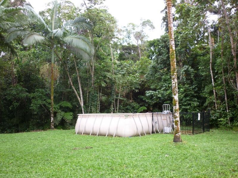 329 Cape Tribulation Road, Daintree QLD 4873