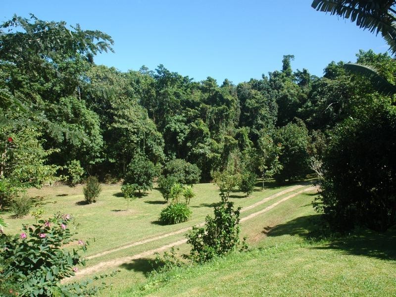 17 Kimberley road, Daintree QLD 4873