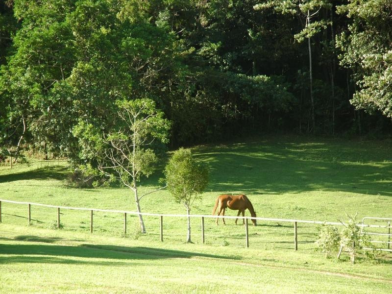 17 Kimberley road, Daintree QLD 4873