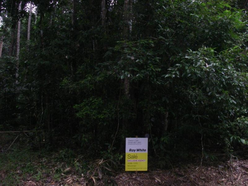 83 Rosewood Road, Daintree QLD 4873
