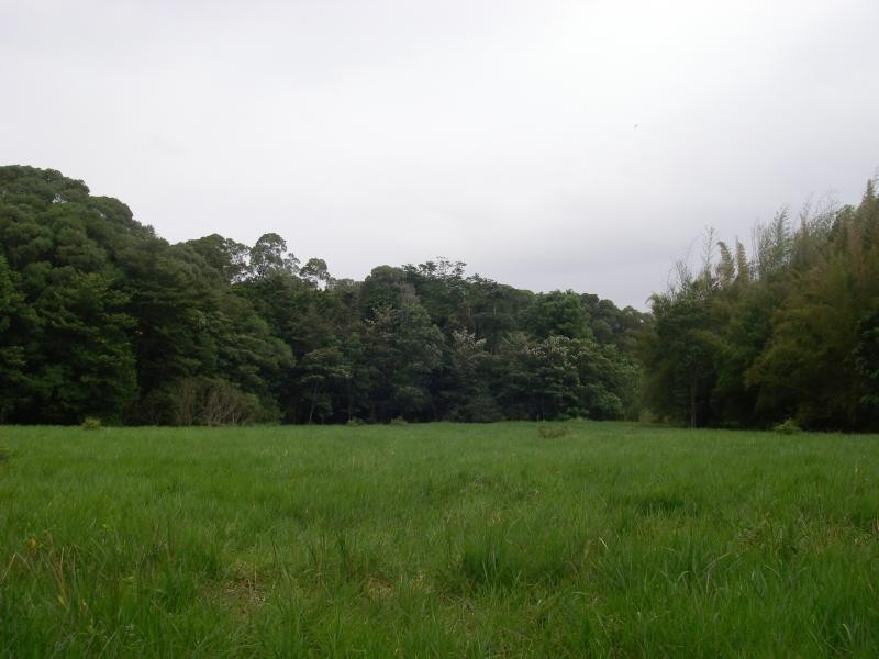 Lot 77 Forest Creek Road, Daintree QLD 4873