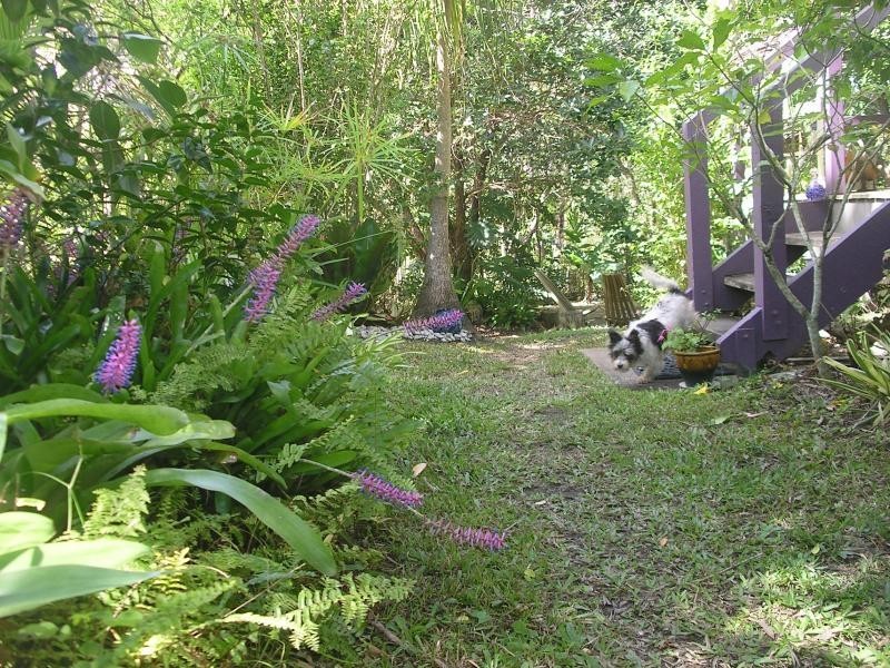 Mount Molloy QLD 4871