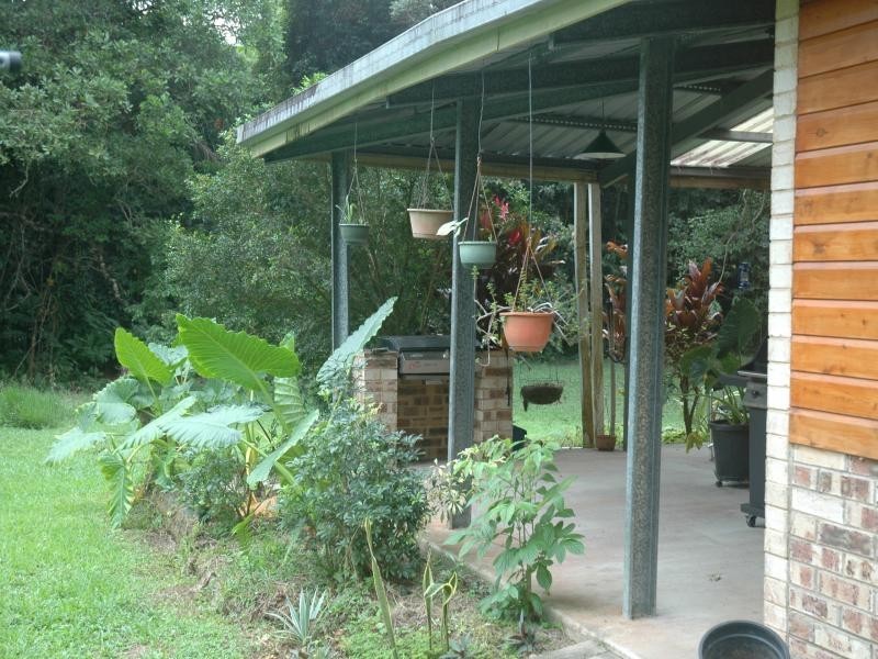 78 Forest Creek Road, Daintree QLD 4873