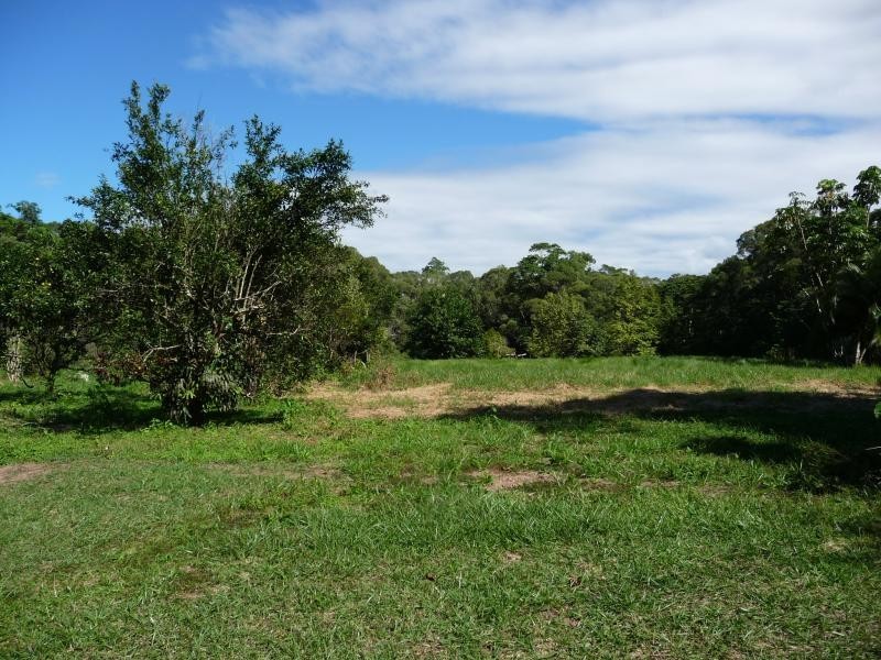 78 Forest Creek Road, Daintree QLD 4873