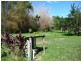 78 Forest Creek Road, Daintree QLD 4873