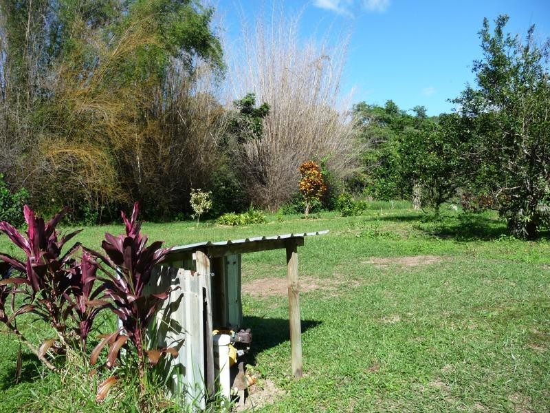 78 Forest Creek Road, Daintree QLD 4873