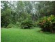 Daintree QLD 4873