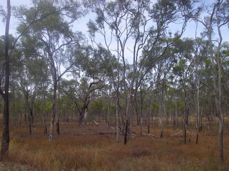 16 Brooklyn Village Estate, Mount Carbine QLD 4871