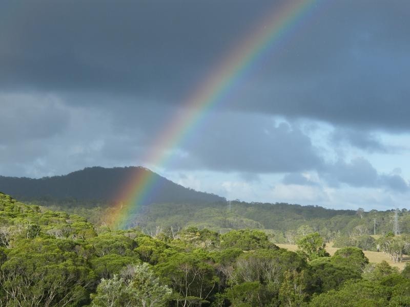 1250 Mossman-Mount Molloy Rd, Julatten QLD 4871