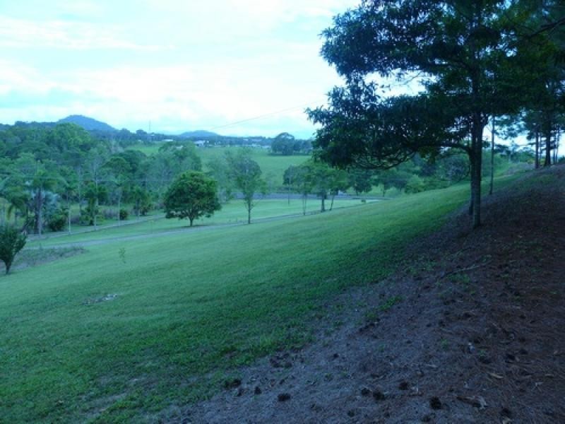 1250 Mossman-Mount Molloy Rd, Julatten QLD 4871