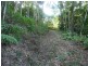 Lot 38 Ronald Rd, Daintree QLD 4873