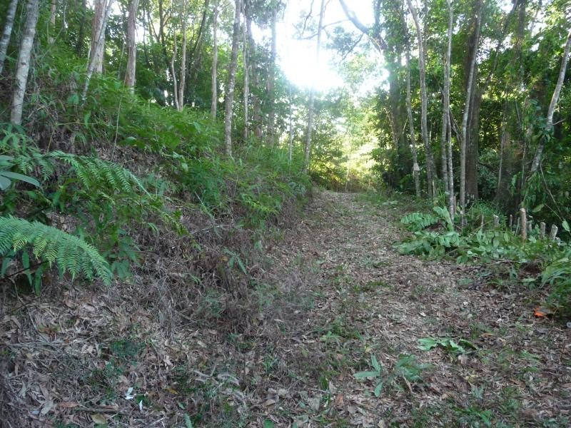Lot 38 Ronald Rd, Daintree QLD 4873
