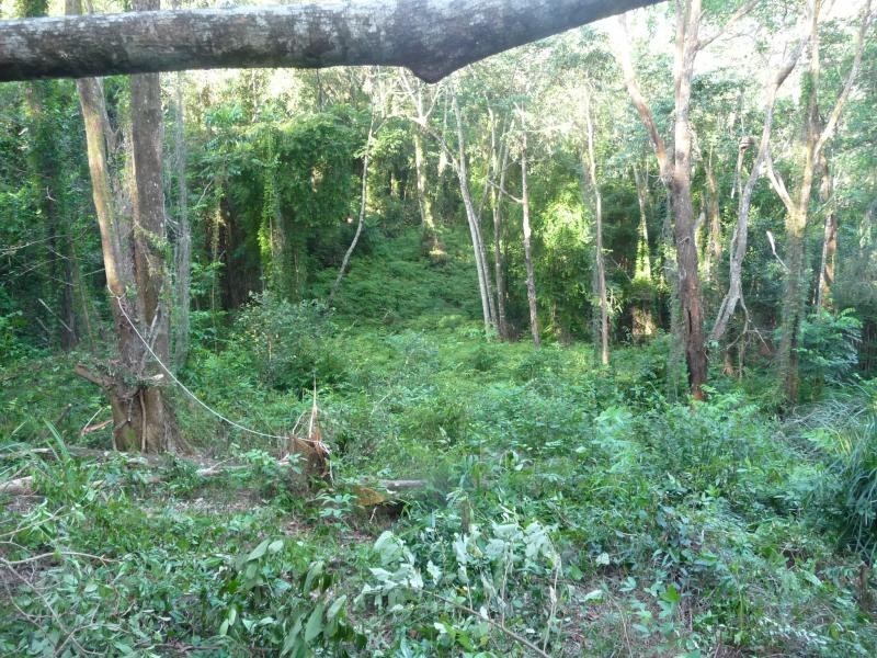 Lot 38 Ronald Rd, Daintree QLD 4873