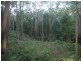 Lot 38 Ronald Rd, Daintree QLD 4873