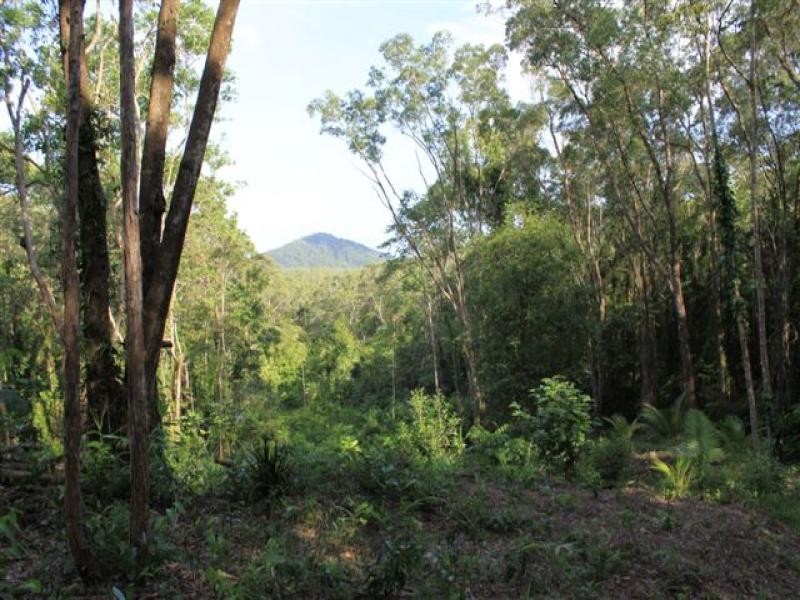 Lot 38 Ronald Rd, Daintree QLD 4873