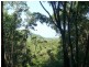 Lot 38 Ronald Rd, Daintree QLD 4873