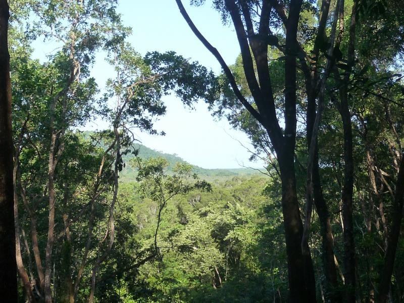 Lot 38 Ronald Rd, Daintree QLD 4873