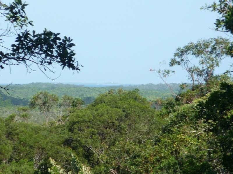 Lot 38 Ronald Rd, Daintree QLD 4873